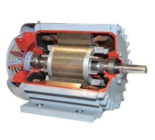 Electric induction motor
